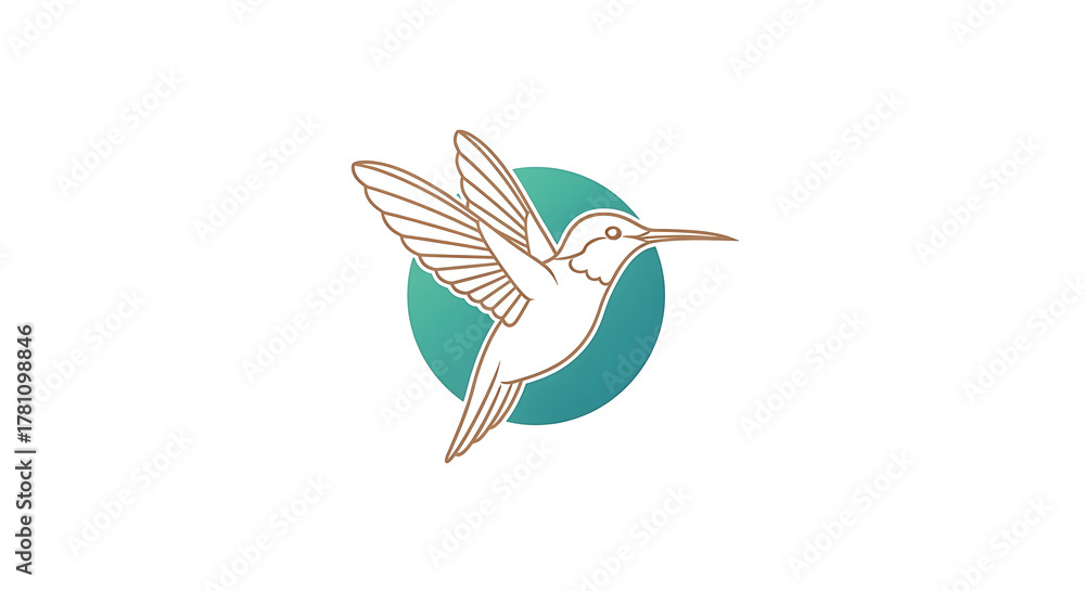 Fototapeta premium Colorful Hummingbird In Midair With Wide Wings Against Teal Circle Background