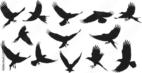 Foto “Collection of dynamic flying bird silhouettes, showcasing various wing positions and graceful flight poses, ideal for wildlife themes, nature graphics, and vector design projects