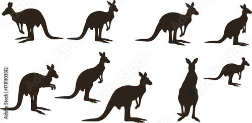 Silhouette of kangaroos in various poses, wildlife animal illustration, Australian nature concept, jumping and standing kangaroo collection, fauna design vector