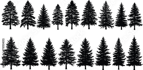 Black forest pine and spruce tree silhouettes collection, evergreen conifer trees set isolated on white background, nature landscape vector illustration design