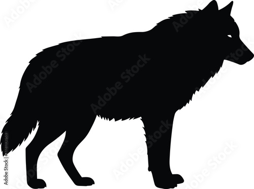 Wolf silhouette standing on white background, wild animal vector illustration, predator wildlife design, forest creature art, nature concept graphic