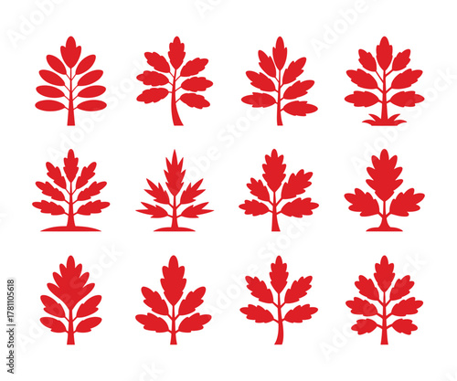 Red oak tree branch illustration with detailed leaves