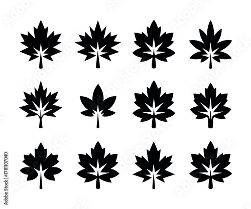 Detailed illustration of a sugar maple tree in autumn