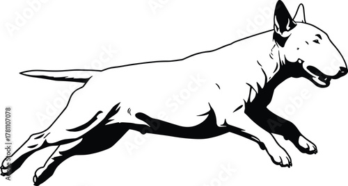 Bull Terrier leaping pose, black and white illustration, muscular dog motion, stylized breed design, dynamic gesture, energetic pet art