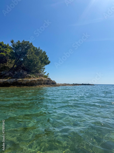 Crystal Clear Adriatic Sea with Rocky Shore and Pine Trees under Blue Sky