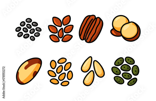 Assorted hand drawn nuts and seeds collection on white background