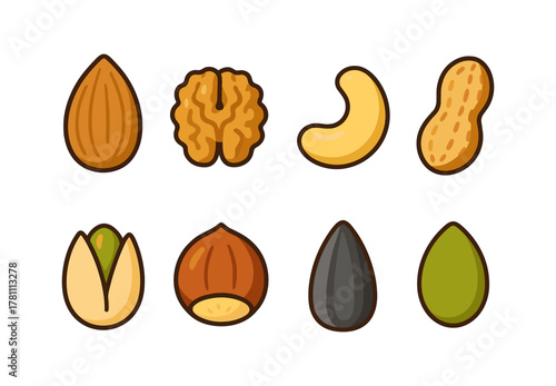 Colorful set of nut and seed icons on white background