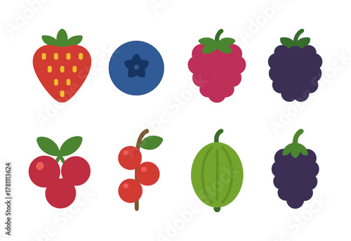 Colorful flat design berries collection on white background