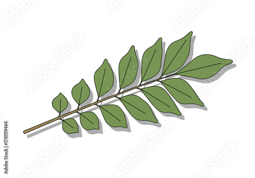 A branch with green leaves growing along both sides with small shadows