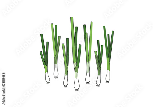 A collection of green onions standing upright with varied stem heights isolated on a white background