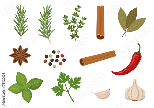 Assortment of culinary spices rosemary thyme star anise peppercorns cinnamon basil chili garlic bay leaves and parsley