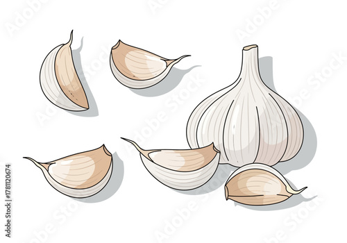 Five cloves and a bulb of garlic casting shadows
