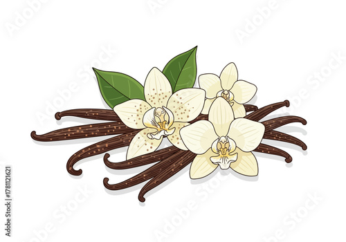 Vanilla beans and orchids are grouped together