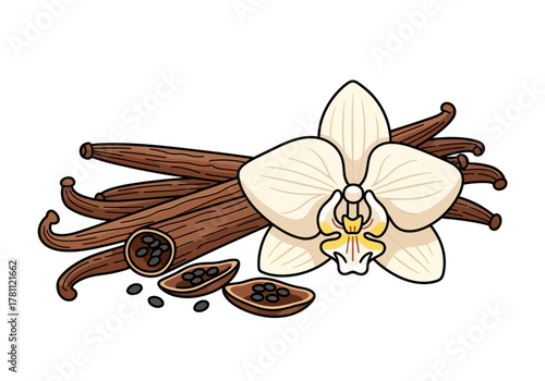 Vanilla pods  flower with seeds visible Brown pods offwhite petals black seeds