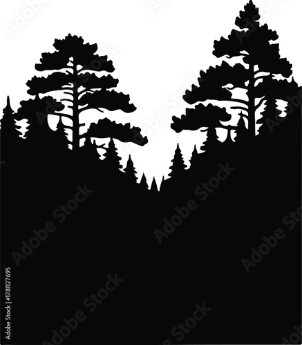Illustrator coniferous forest trees black woodland scenic design Silhouette vector