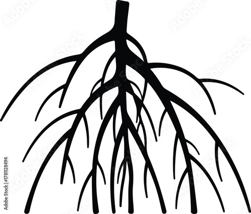 Illustrator roots system bare tree branches network connectivity Silhouette vector