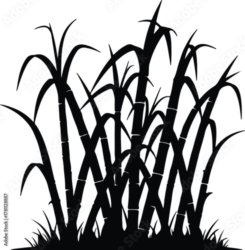 Illustrator Sugar cane field black plants agriculture landscape Silhouette vector