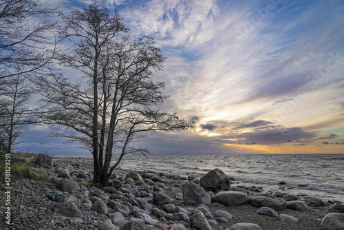 Fototapeta Naklejka Na Ścianę i Meble -  rocky seashore of the Baltic sea