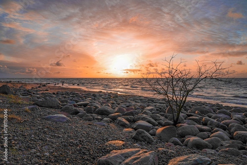 Fototapeta Naklejka Na Ścianę i Meble -  rocky seashore in Latvia by the Baltic Sea