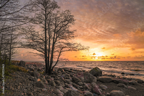 Fototapeta Naklejka Na Ścianę i Meble -  Vidzeme rocky coast in Latvia