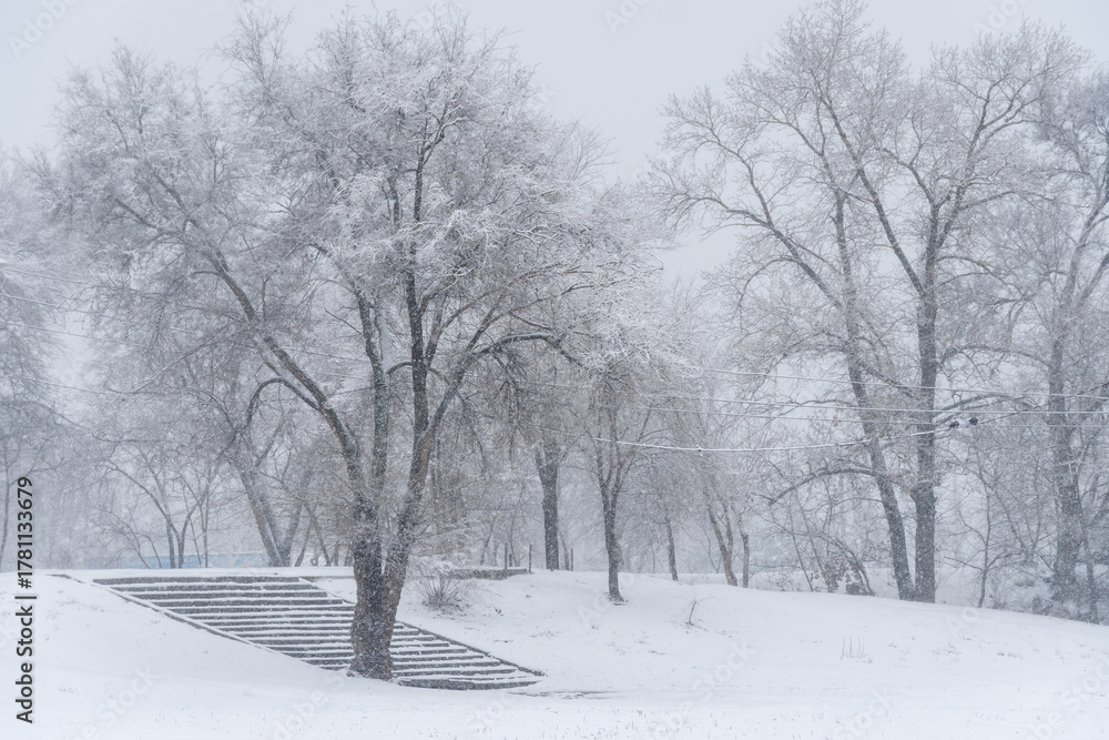 Obraz premium Snow-covered stone staircase leading through winter landscape. Snowy park and steep stair in park after heavy snowfall. Frosty pathway in descent in cold weather. Depicts winter danger outdoors.
