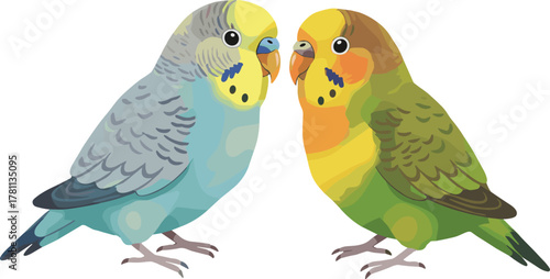 Two colorful lovebirds standing together, tropical parrot couple illustration, vibrant exotic birds artwork, romantic wildlife vector design for decor