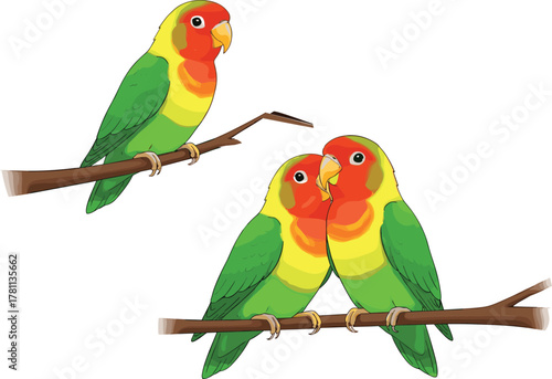 Three colorful lovebirds sitting on tree branches, tropical parrot couple illustration, cute exotic pet birds vector art design