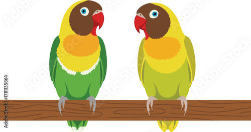 Two colorful lovebirds sitting on a wooden branch, tropical parrot couple illustration, exotic wildlife vector art, nature design