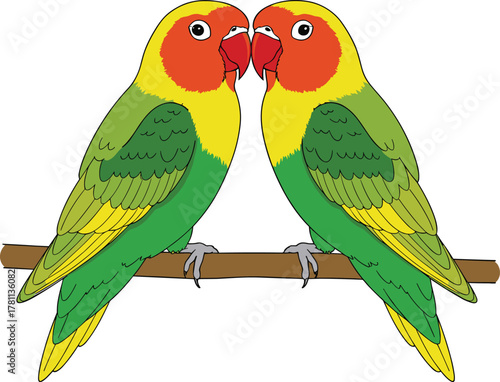 Two colorful love birds sitting on branch, tropical parrot couple illustration, exotic wildlife vector art for nature and romance