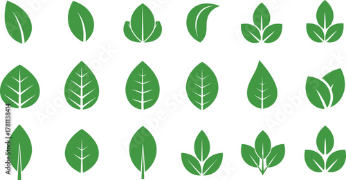 Collection of green leaf icons, eco nature symbols, organic plant elements, botanical vector illustration, environment friendly graphic design set