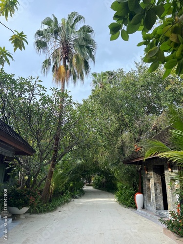 Maldives Paradise Island with Beach Swing and Loungers