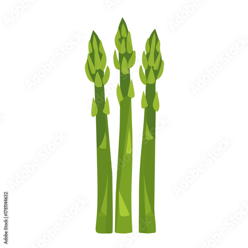 A modern element in vector and EPS format. icon clipart, Minimalistic 2D flat icon featuring an asparagus, clean vector design, simple illustration style, isolated on a white background
