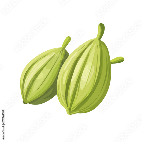 clipart, Minimalistic 2D flat icon featuring a cardamom pod isolated on a white background, an element in vector and EPS format. clean vector design, simple illustration style
