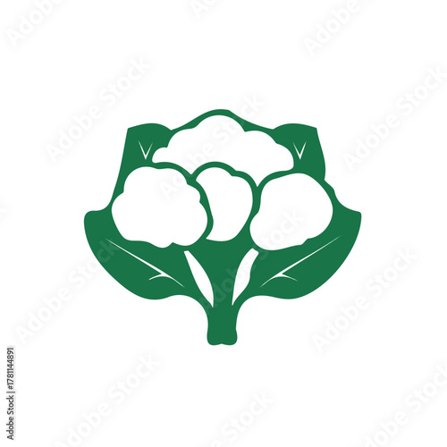 A Minimalistic 2D flat icon illustration of a cauliflower, simple illustration style, clean vector design, isolated on a white background, modern element in vector, EPS format