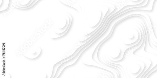 Abstract geography peak white wave paper curved reliefs. Seamless swirl wave contour maps. Vector illustration. topography line map.