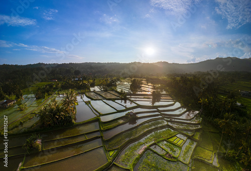 Bali rice terraces at sunset aerial view of tropical landscape with reflections