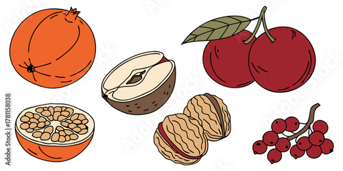 Illustration of various fruits including pomegranate cherries and other berries