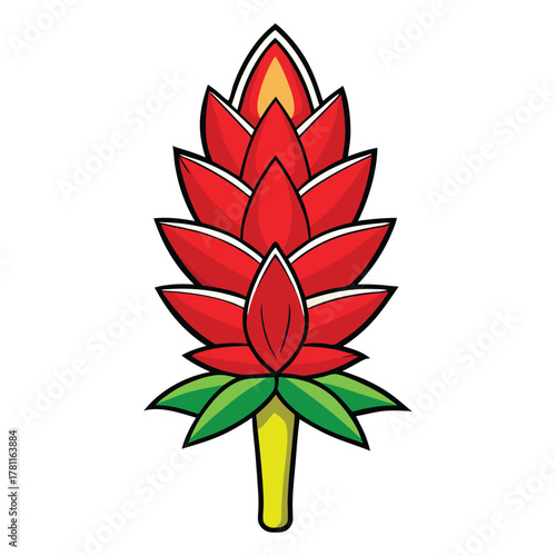 Illustration of a red ginger flower plant drawing tropical floral design botanical art vector image