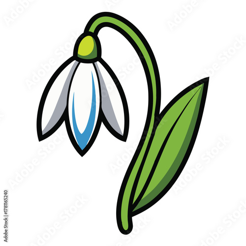 Isolated snowdrop flower vector illustration for spring designs and floral graphic resources, vector