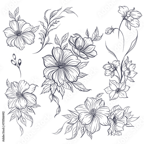 Wallpaper Mural Collection of vector lined flowers and florals, awesome for tattoo and invitations Torontodigital.ca