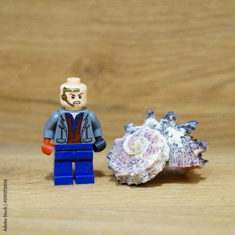 Obraz premium Lego minifigure with a seashell on a wooden surface