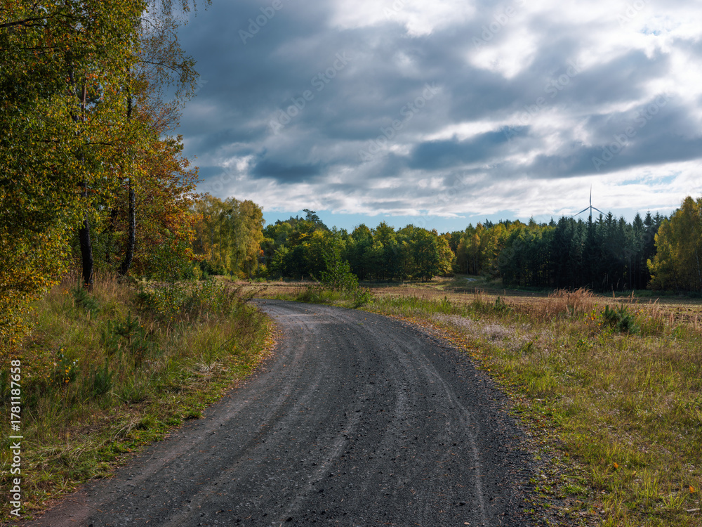 Fototapeta premium Country dirt road with trees under cloudy sky
