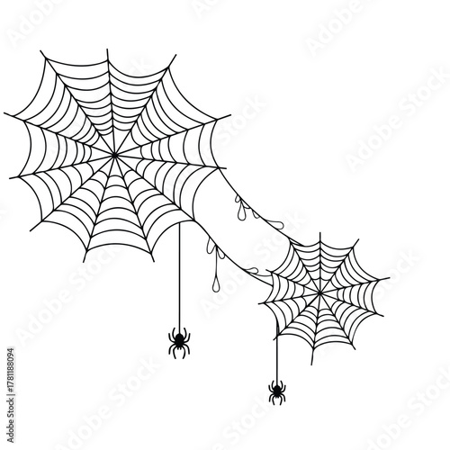 Spider web with hanging spider