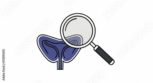 A medical illustration of a bladder being examined with a magnifying glass. Focus on medical diagnostics and healthcare with a clean visual representation. 