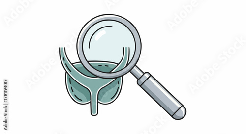 Image of the urinary bladder is examined by a magnifying glass. Illustrating the importance of healthcare and medical checkups