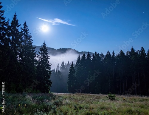 Serene Night Landscape with Moonlight and Mist Over Forest Area