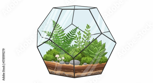 Terrarium Garden with succulents and ferns