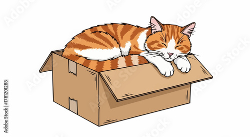 Sleeping cat in a box.