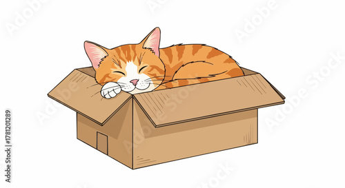 Cat sleeping in a box
