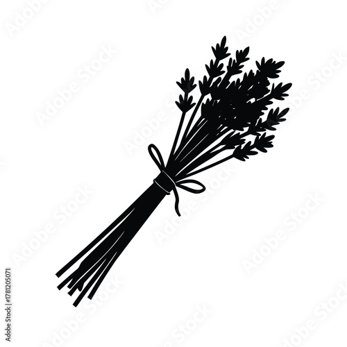 Lavender Vector Illustration. Aromatic Herb Plant Flower. Bundle Tied Up Silhouette